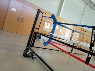 Photo n°4 de Savate Boxe Francaise Monteux à Monteux (Club de boxe)