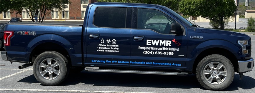Emergency Water and Mold Removal photo