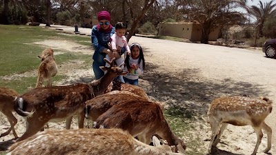 Photos of 01 Poultry Farm