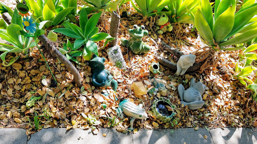 Frog Wall - Visual
