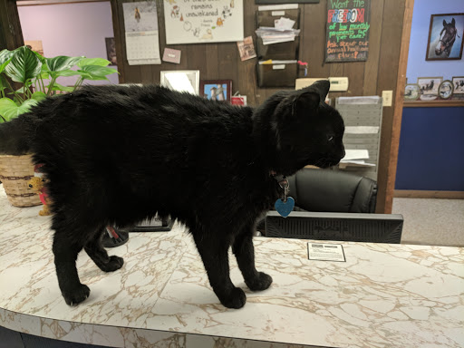 Blue Valley Veterinary Clinic - Thumbnail