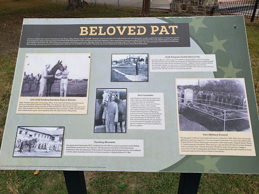 Grave of Pat the Horse - Thumbnail