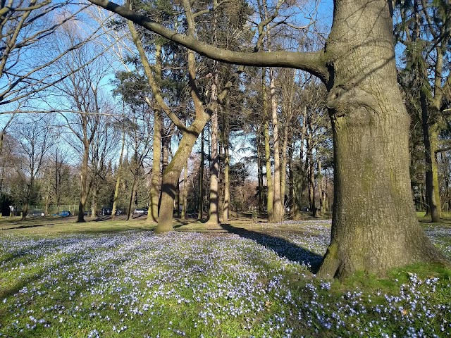 Strandbad Plötzensee