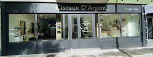 Photo n°3 de Ciseaux d'argent à Annecy (Salon de coiffure)
