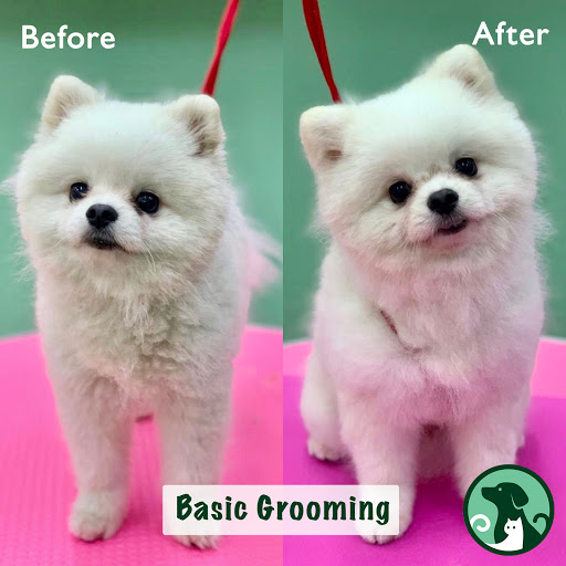 Premier Mansion Pet Grooming Service