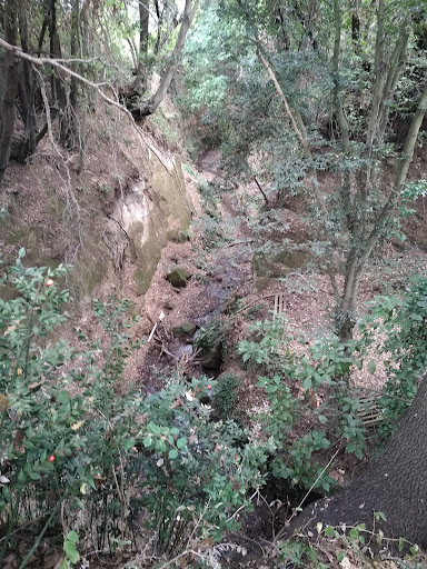 grotte di Ponte Coperto - Thumbnail