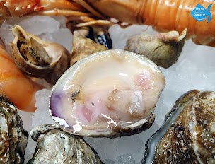 Photo n°146 de CHEZ MO - ALBERT 1ER à Antibes (Restaurant de fruits de mer)