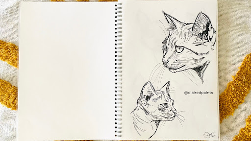 Claire Donovan Art - Thumbnail