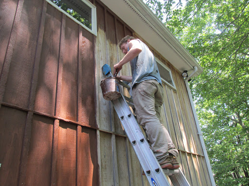 eXpert PAINTERS