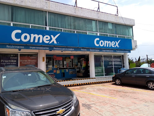 Tienda Comex Otzacatípan