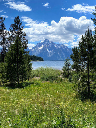 Grand Teton National Park Headquarters, Moose, WY - Thumbnail