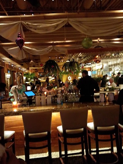 Photos of Bimini Twist