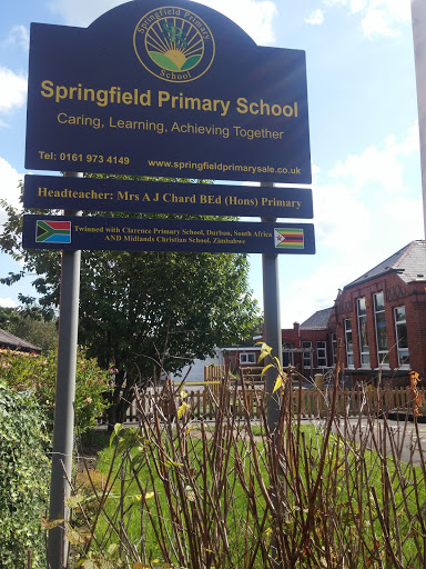 Springfield Primary School - Visual