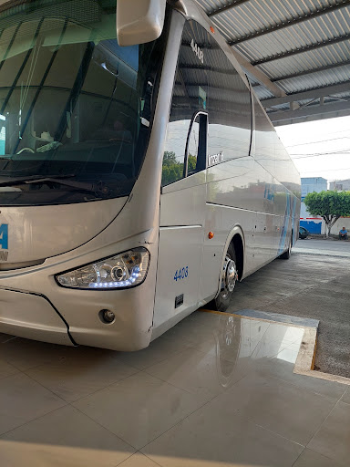 Titanium Buses - Visual