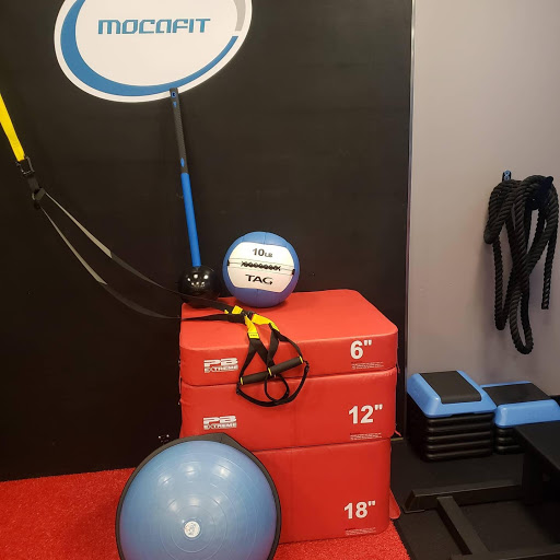 MocaFIT - Visual