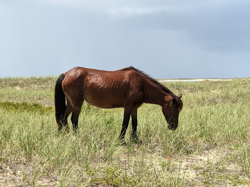 Shackleford Banks Dropoff Point - Thumbnail