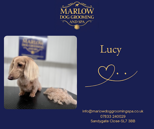 Marlow Dog Grooming and Spa