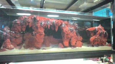 photo of Inovasi Aquarium