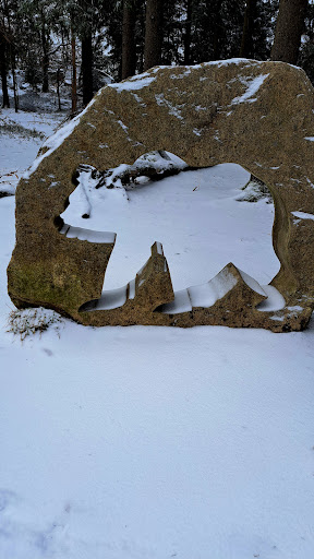 Waldsteinwichtel - Visual