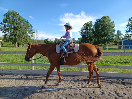 Lakeside Quarter Horses - Thumbnail