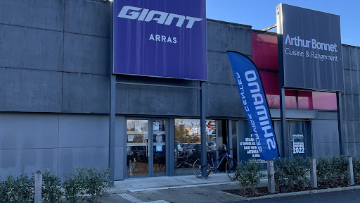 Giant Arras