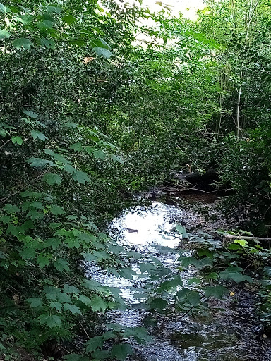 Bourne Valley - Visual