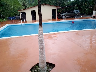 Photos of bar michi