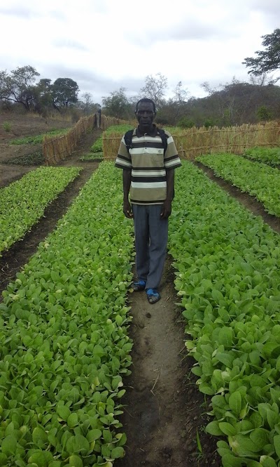 Photos of Nkhamenya