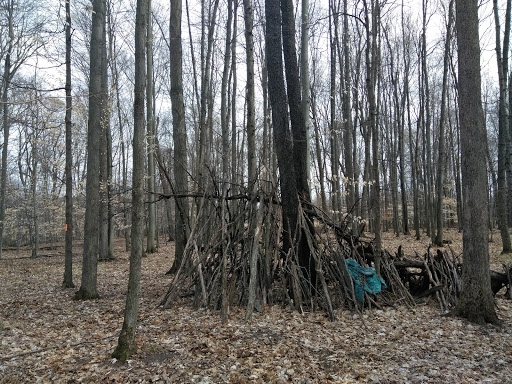 Comden-Towle Model Forest Gallery - United States