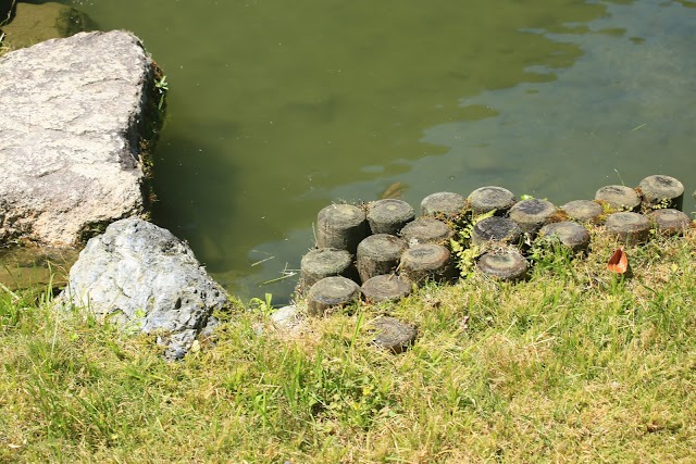 渉成園 (Shōsei-en Garden (Kikoku-tei))