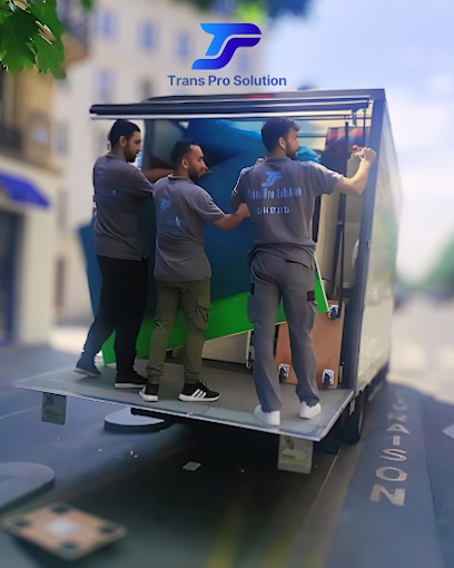 TRANS PRO SOLUTION