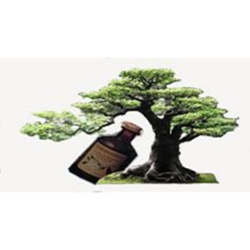 ΔΡΑΓΑΝΙΓΟΥ ΑΜΑΛΙΑ - ΦΑΡΜΑΚΕΙΟ - ΠΕΤΡΟΥΠΟΛΗ