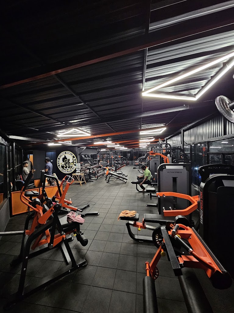 Fitness World Vaikom