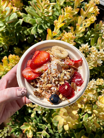 Terra Catering by null