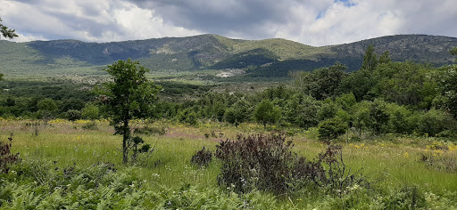 El Valle Hermoso Logo