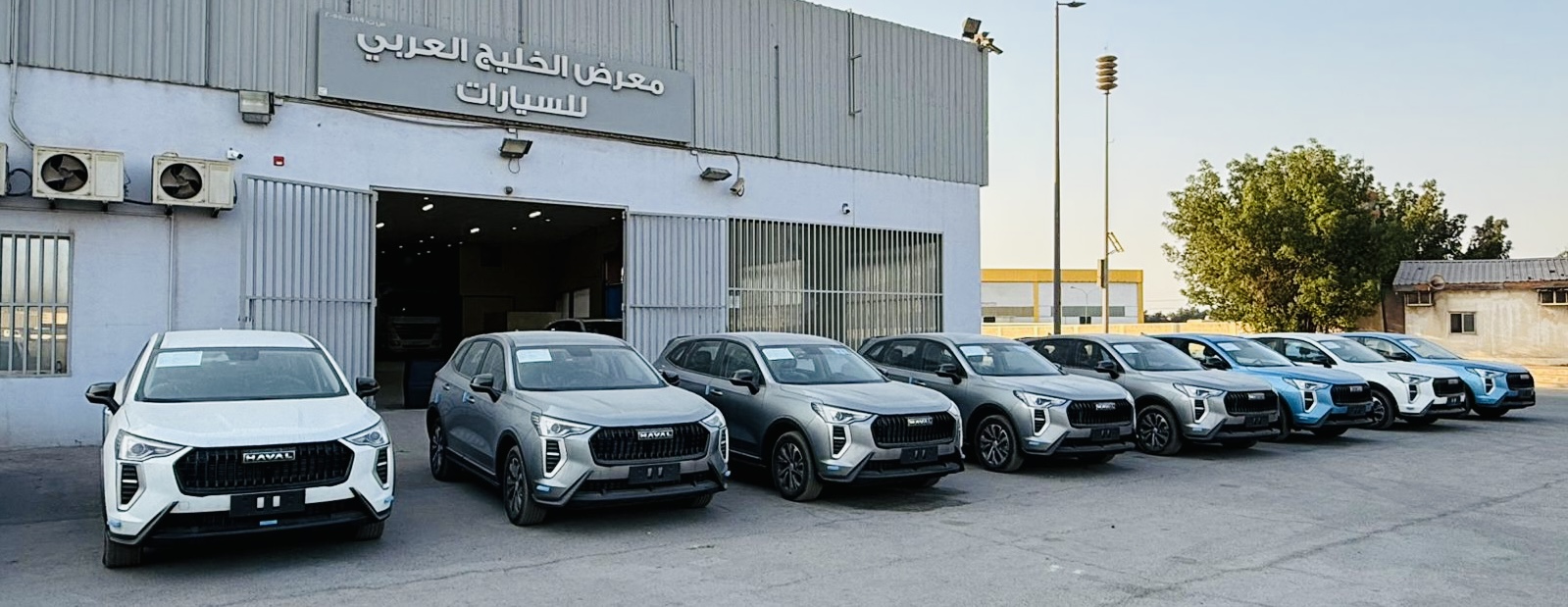 معرض الوفاء الفضي للسيارات - صورة 3