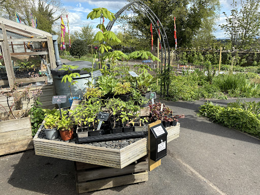 Ford Park Plant Nursery - Thumbnail