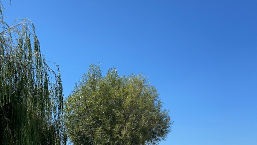 Photo de Lac de Belloc