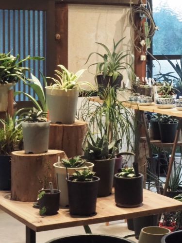 On the Soil Under the Sun（オンザソイルアンダーザサン）