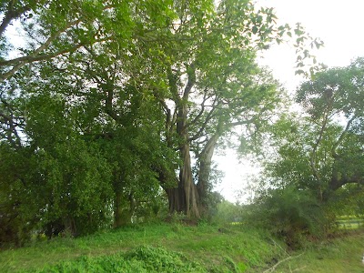 Photos of সৈয়দ পীরের মাজার