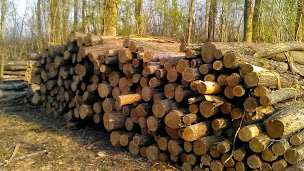 Photo n°1 de Fichet Michaël à Brienne (Magasin de bois de chauffage)