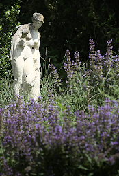 Photo n°19 de Entre Gers Et Ciel Toulouse : Marie-Pierre Lehoux, Bien-être, Yoga et Naturopathie à Giscaro (Professeur de yoga)