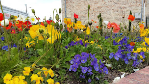 Photo n°46 de Camping de mon Village de Mantenay-Montlin, Camping du Coq à Mantenay-Montlin (Terrain pour camping-cars)