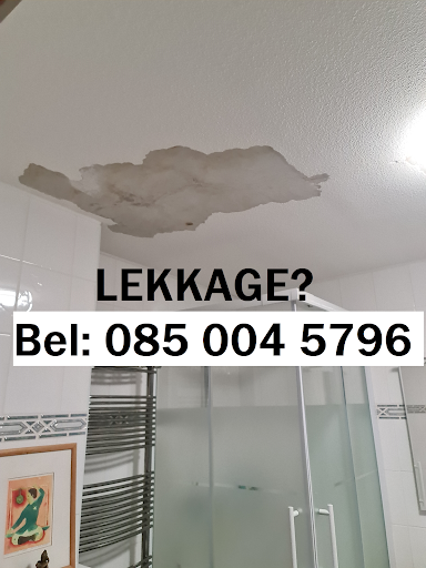 Lekdetectiebedrijf : Lekdetectie Expert & Lekkage opsporen