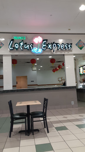 Chen's Lotus Express - Thumbnail