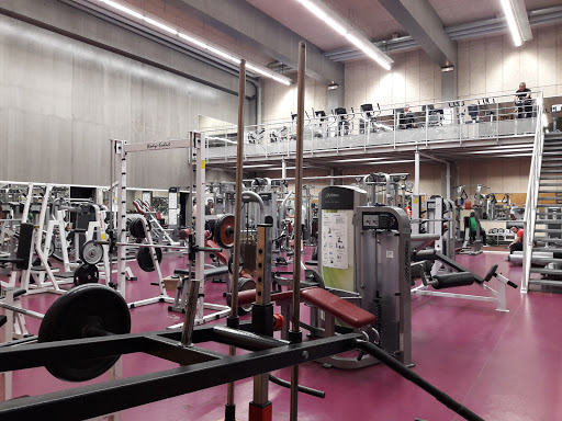 Sports Area Jean-Pierre Rives - Thumbnail
