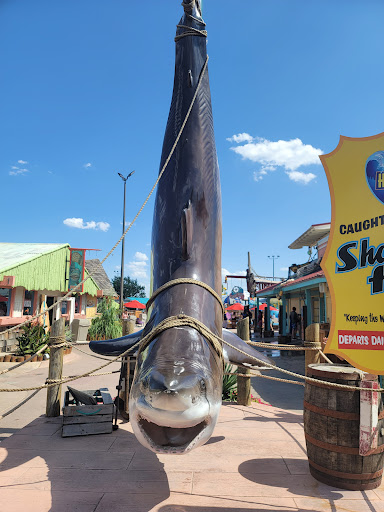 Hurricane Harbor Oklahoma City - Thumbnail