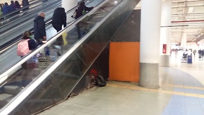 Photos of Terminal San Borja
