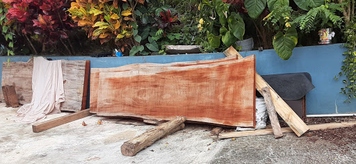 Aserradero Bayaney - Thumbnail