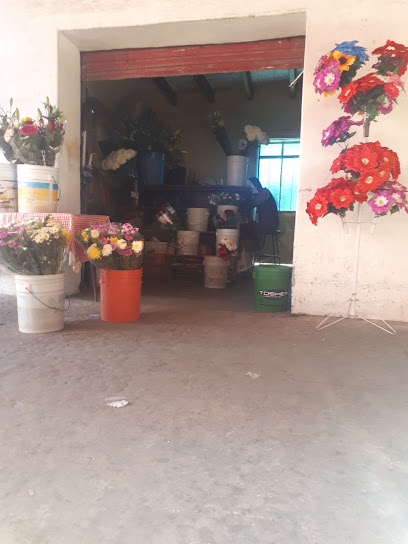 floreria hidalgo